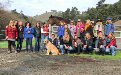 Equine-Assisted Learning Gathers for Action