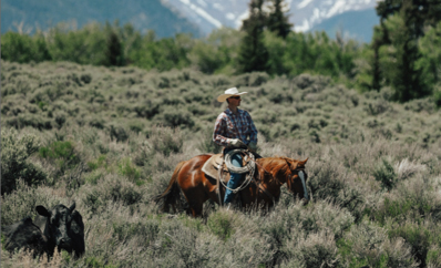 Profiles in Land and Management – Lonetree Ranch