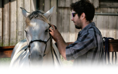 Regenerative Ranching Apprentice with Horses