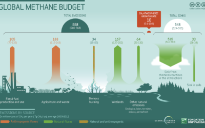 Point Blue Issue Brief 2019: Methane Emissions from Livestock (PDF)