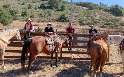 Regenerative Ranching Apprenticeship – Join Our Team!