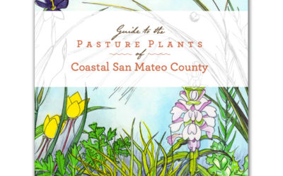 GUIDE TO PASTURE PLANTS OF COASTAL SAN MATEO COUNTY