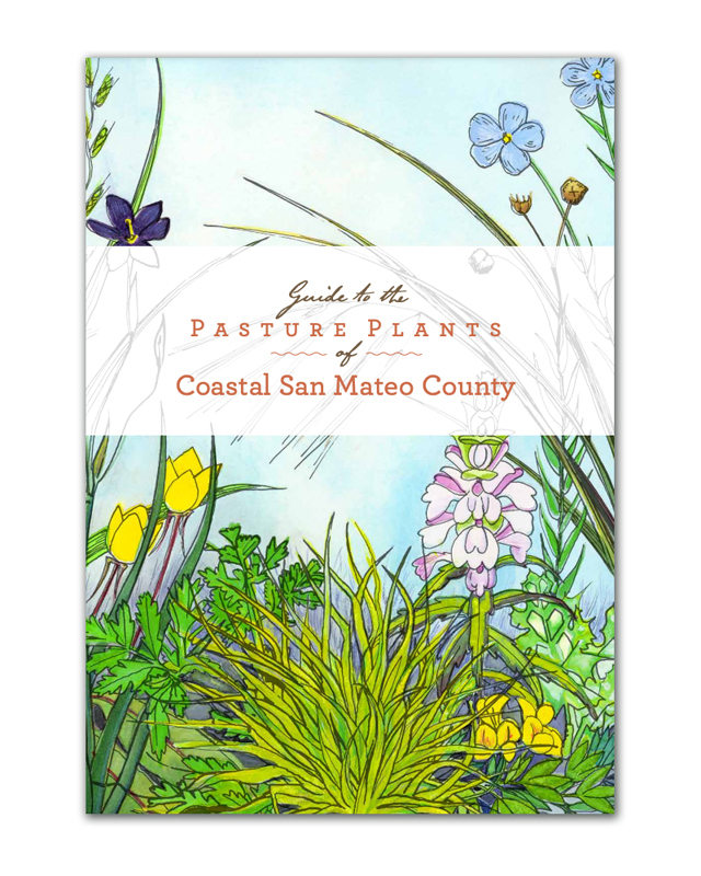 Guide to Pasture Plants