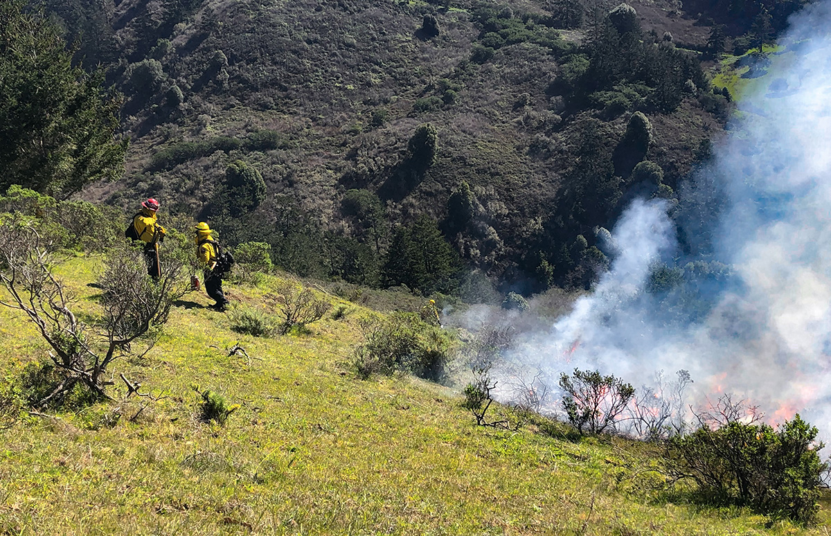 Crews work in teams to light brush from the top of the hillside. Photo credit: Wendy Millet