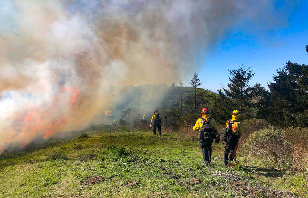 Fire reaches the crest where crews watch for ember casts to prevent the fire from spreading. Photo credit: Wendy Millet