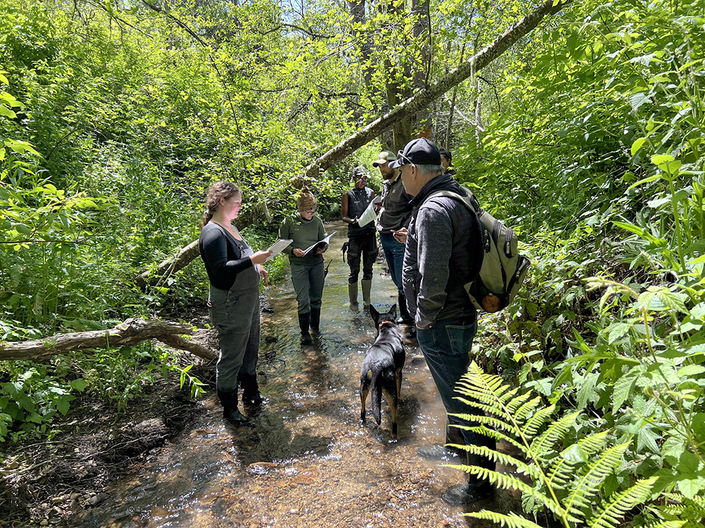 Picture of Wendell Gilbert and members of the TomKat Ranch Land and Livestock team wading in the waters of Honsinger Creek as part of the stream assessment workshop.