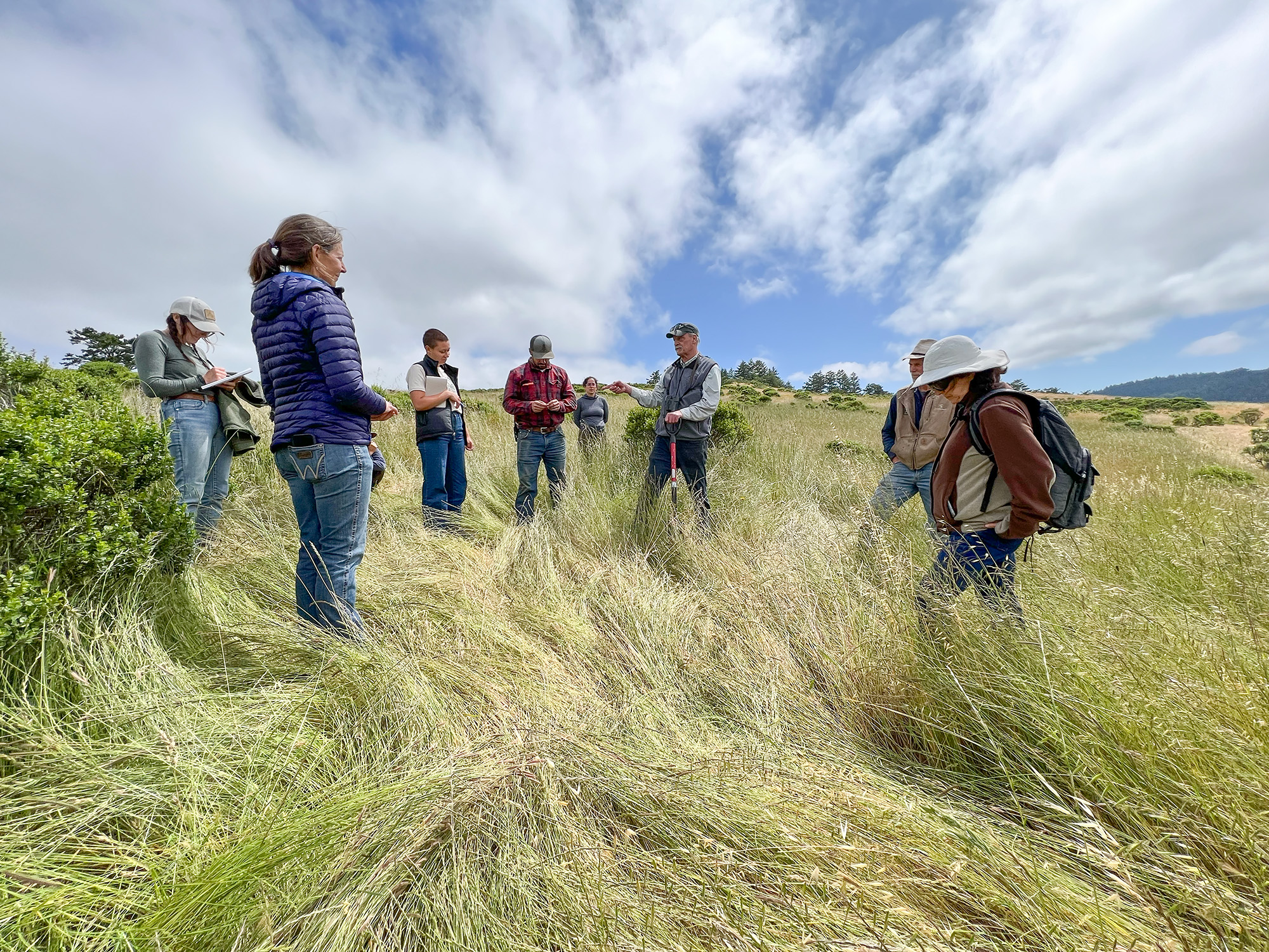 Wendell Gilgert with TomKat Ranch staff in a lush field of grass