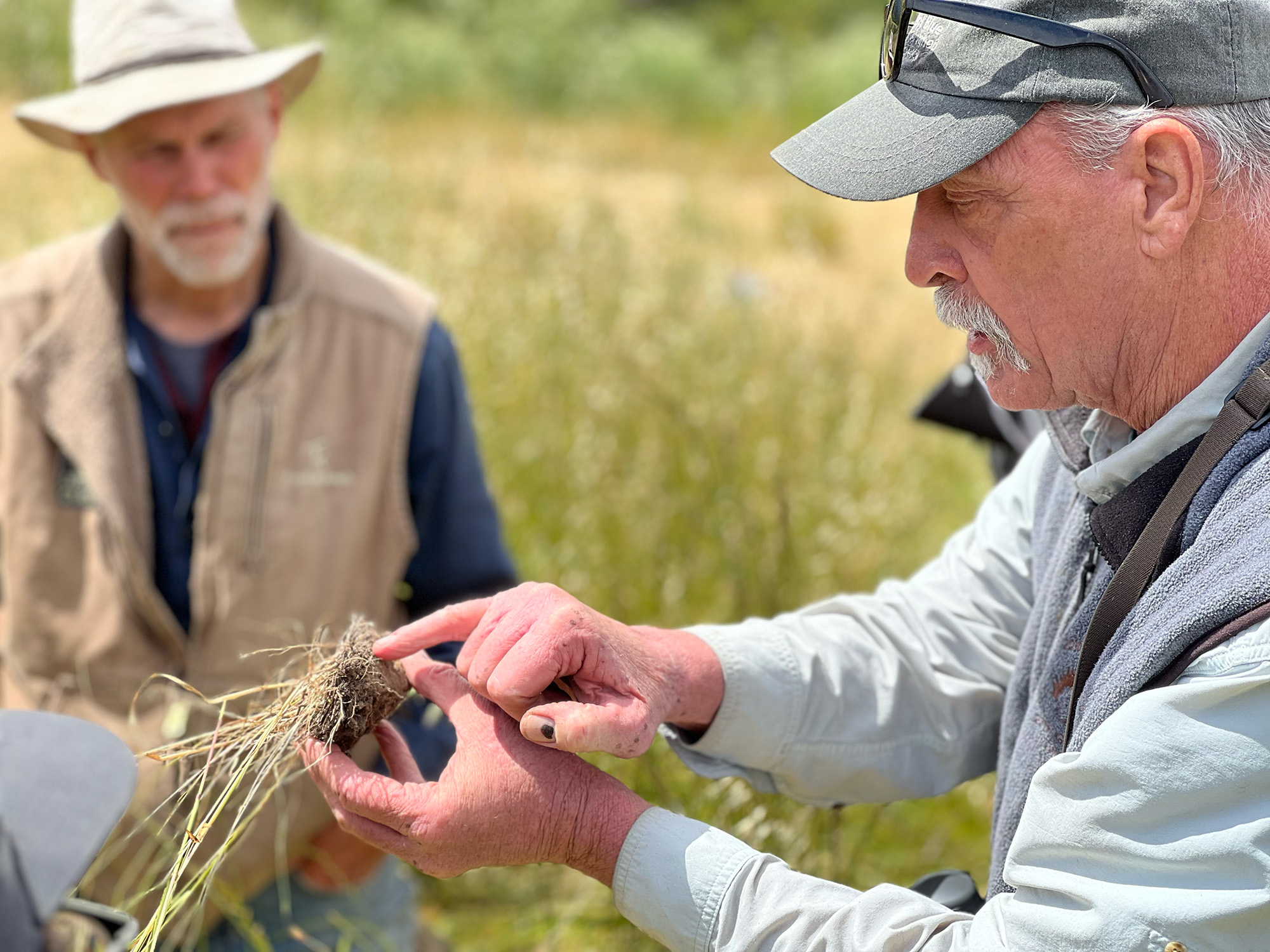 Wendell Gilgert showing what to look at when examining soil around plant roots.