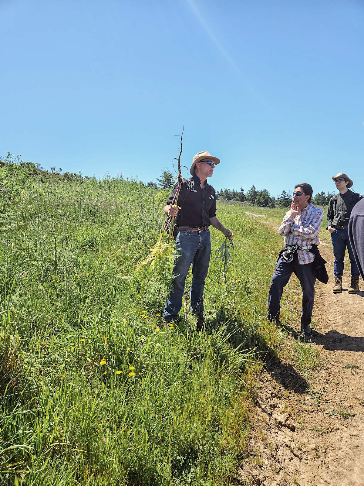 Students learned how ranch manager Mark Biaggi uses non-native species such as harding grass and poison hemlock to understand what the land needs