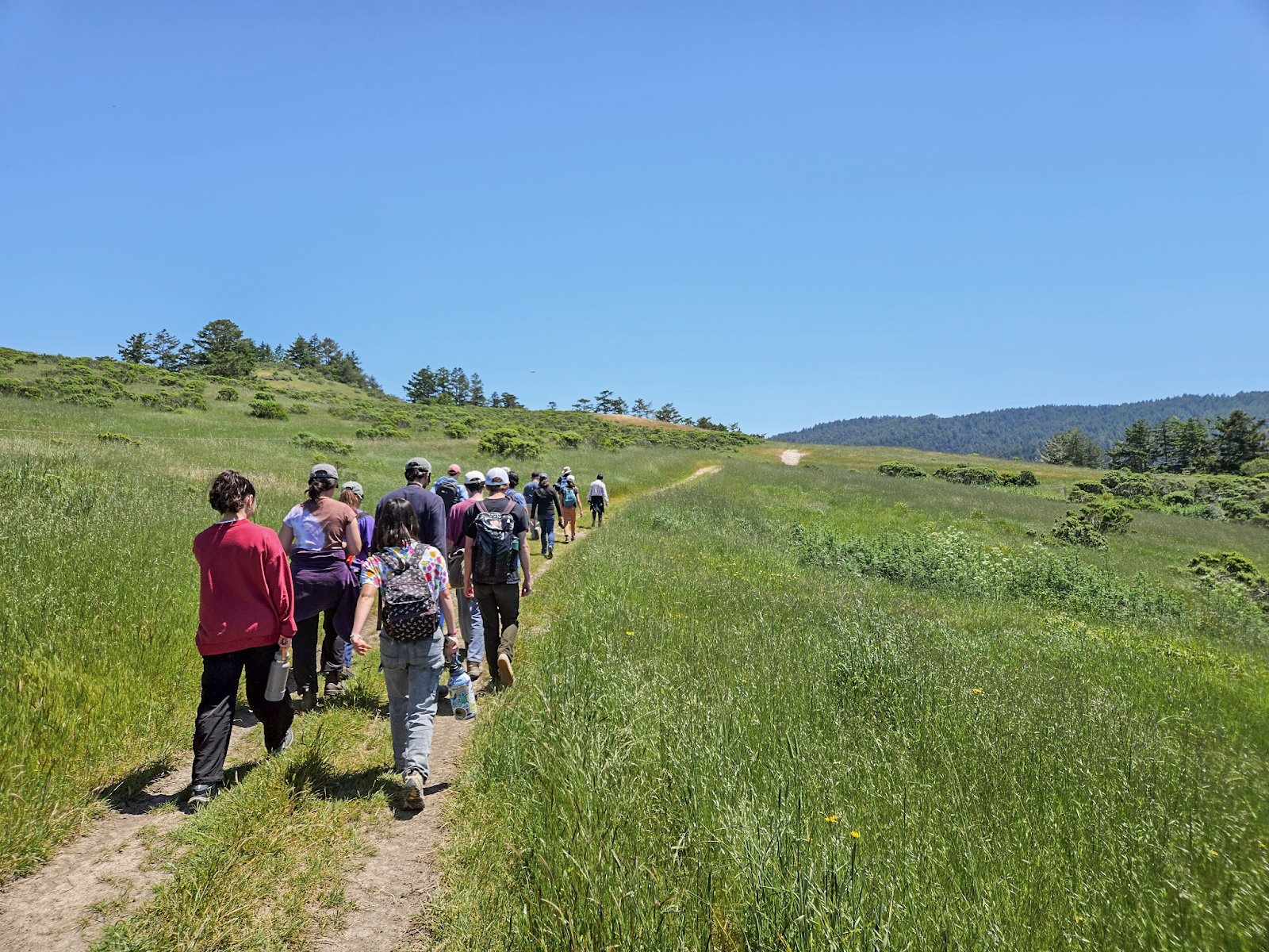 Students reflected on the lessons of the day at TomKat Ranch