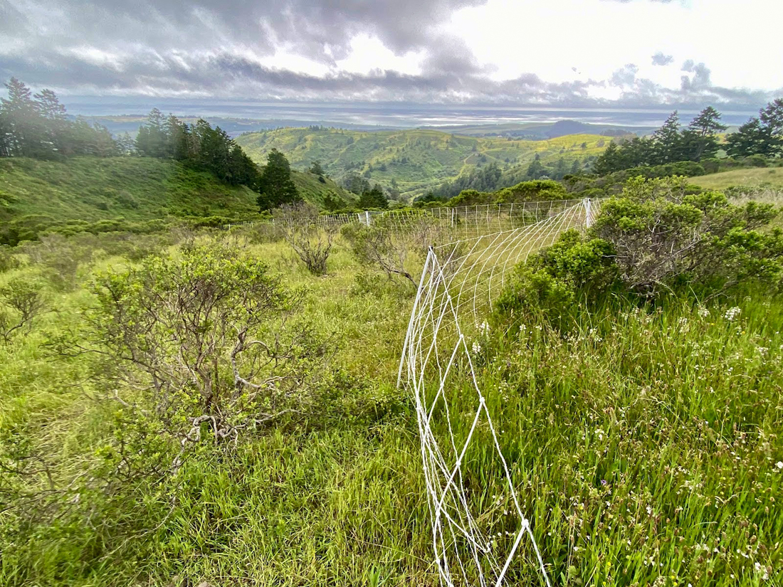 Fence line photos feature pasture composition pre and post grazing.