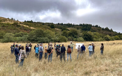 Highlights from Hosting Grazing Lands Conservation Initiative Workshop with the San Mateo Resource Conservation District