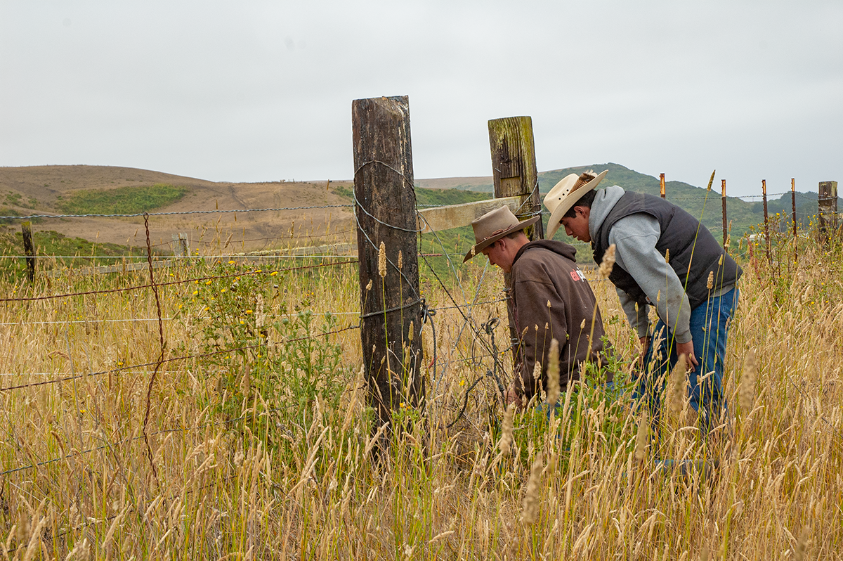 TomKat Ranch Ranch Hands