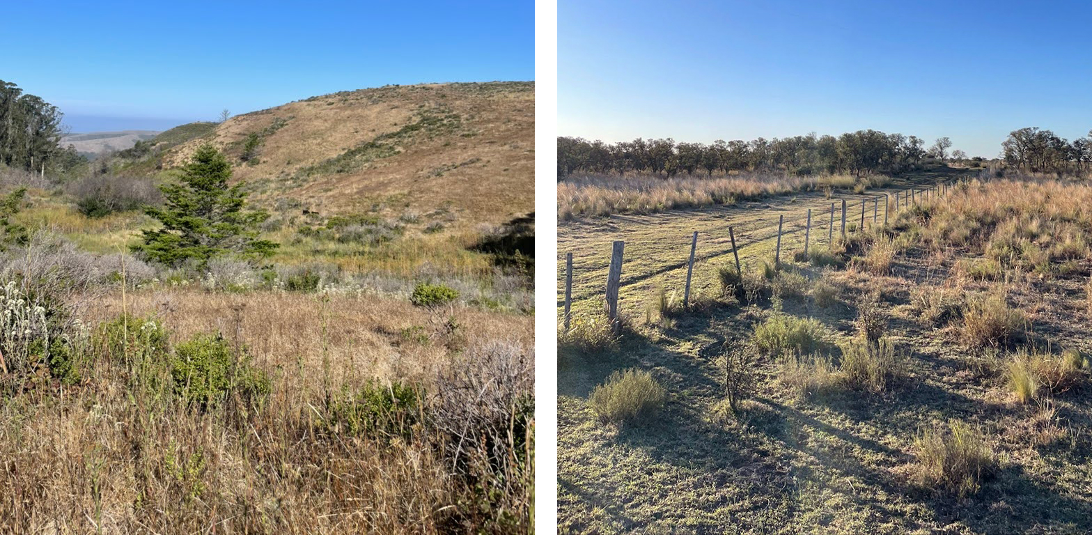 Landscape comparison between TomKat Ranch, California, and Yatagan, Argentina.