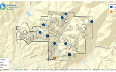 Regenerative Ranching by the Numbers